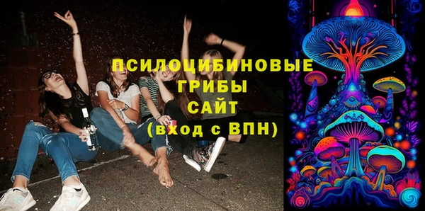 молекула духа Каменка