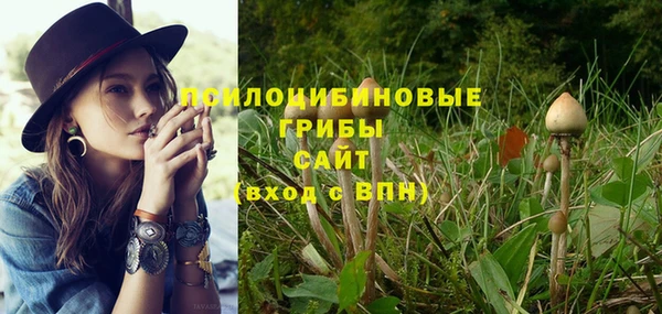 кокаин премиум Краснослободск