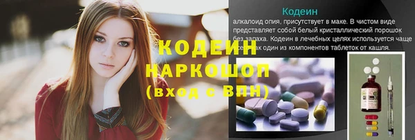 спиды Каменногорск