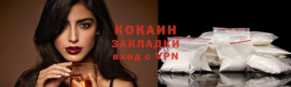 молекула духа Каменка