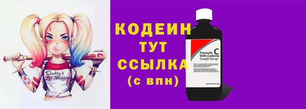 стафф Касимов
