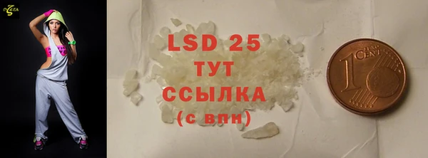 спиды Каменногорск