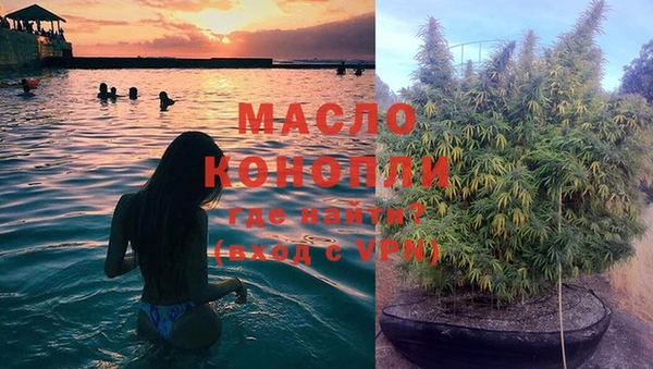молекула духа Каменка