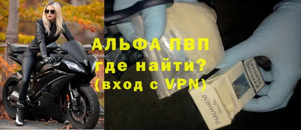 молекула духа Каменка
