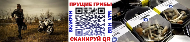 Псилоцибиновые грибы мухоморы  Химки 