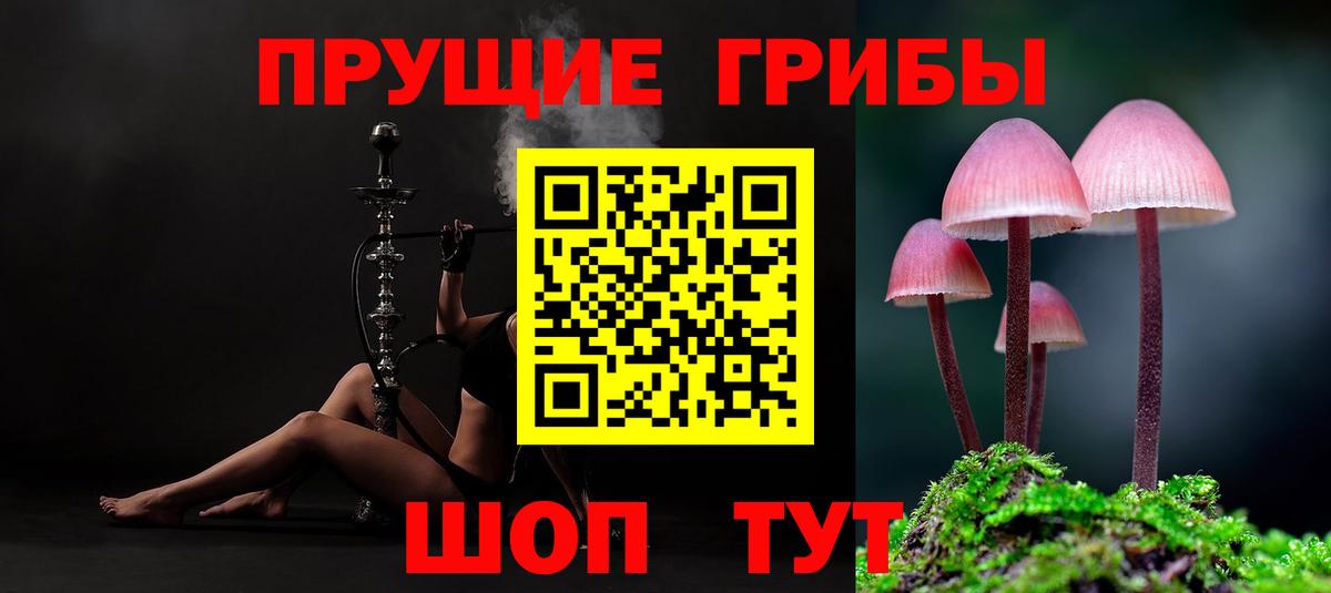 Галлюциногенные грибы прущие грибы  Галлюциногенные грибы Cubensis  Химки  наркотики  Вход с VPN 